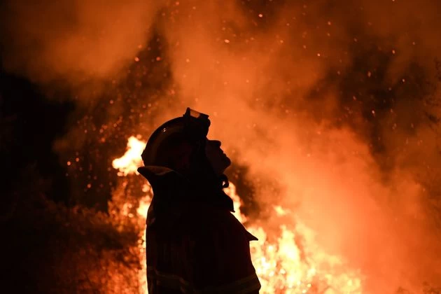 Πυροσβεστική: 31 δασικές πυρκαγιές το τελευταίο 24ώρο